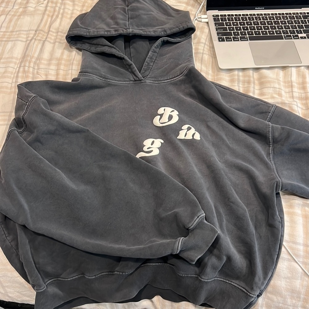 Brand new anine bing hoodie